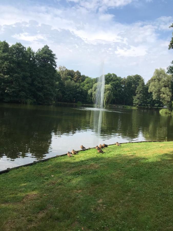 Apartament C18 Jelení Hora Exteriér fotografie